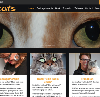 4Cats